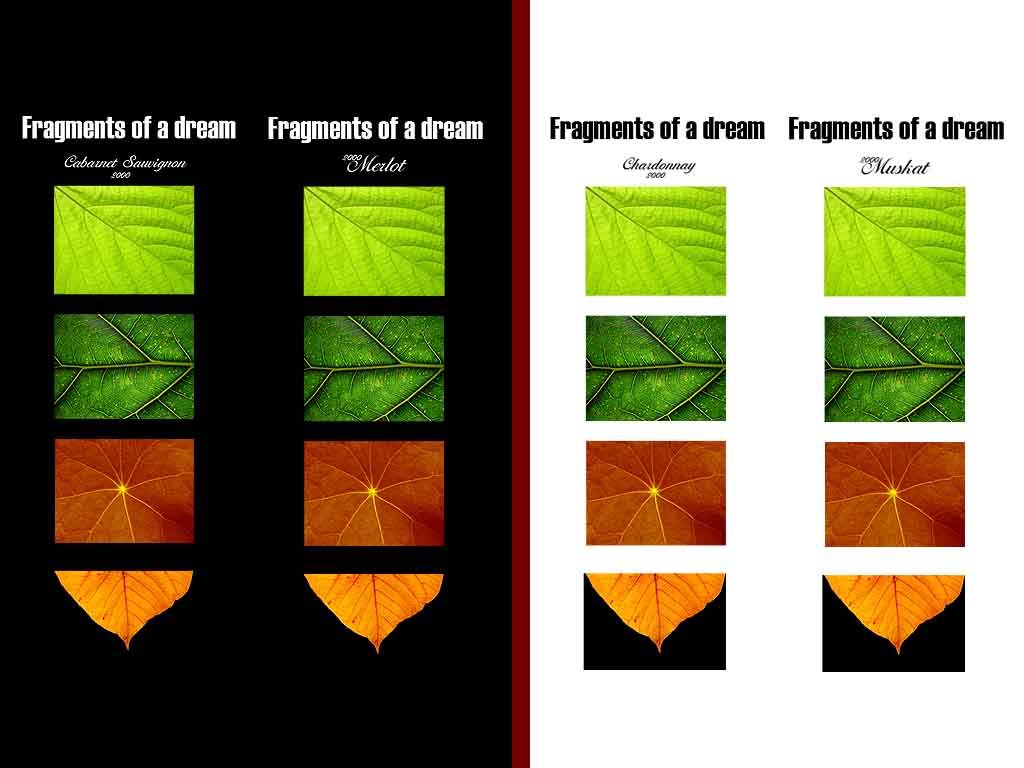 fragments of a dream