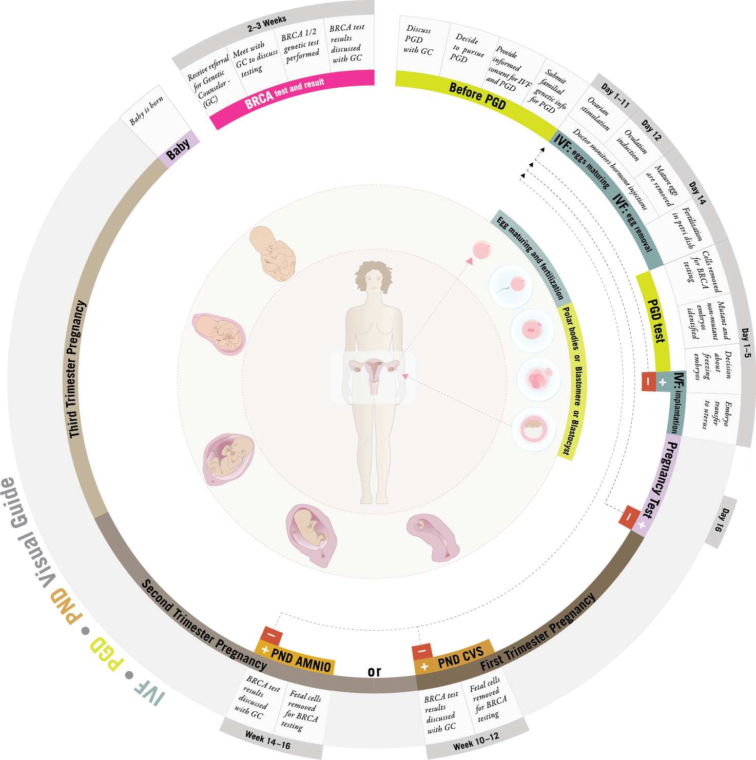 PGD illustration